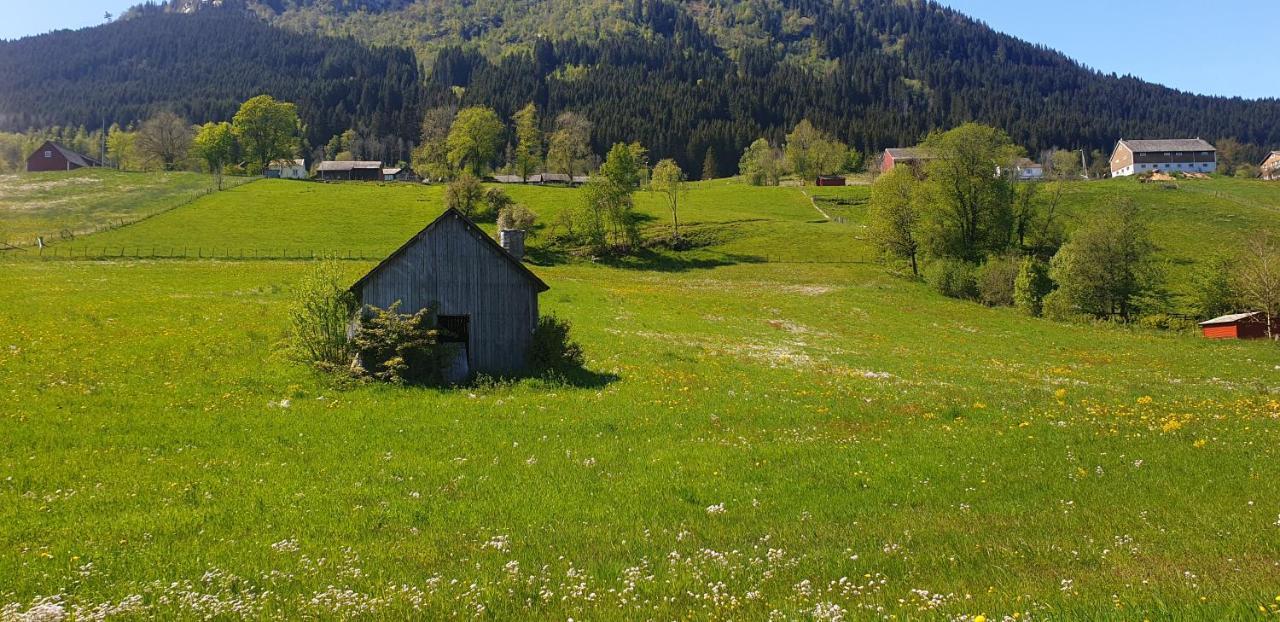 New And Exclusive Cottage In Voss With A Great View Skulestadmo Bagian luar foto